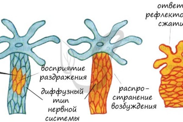 Рабочая ссылка на кракен