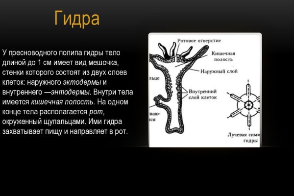Магазин кракен даркнететамбов