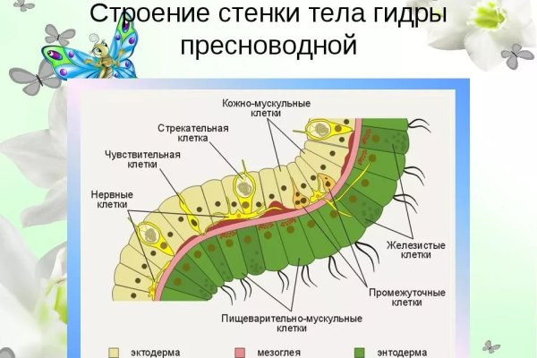 Http kraken 2kr
