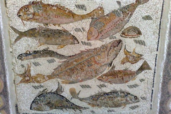 Даркмаркет кракен